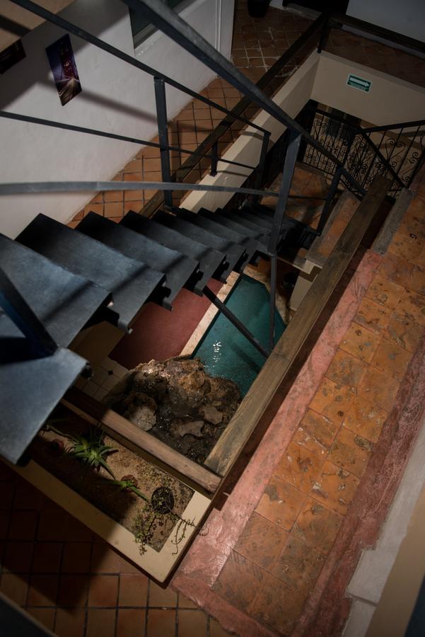 Deja Hostel Плая дел Кармен Екстериор снимка